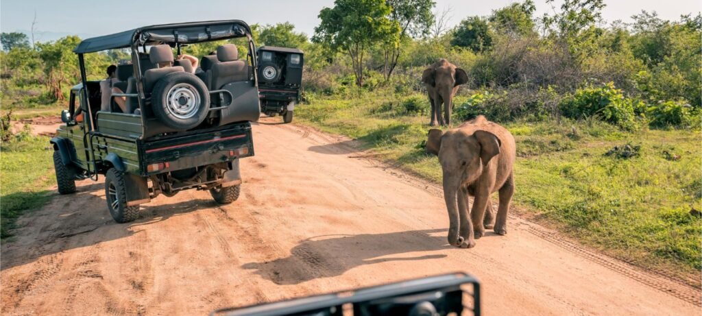 Yala Safari Sri lanka