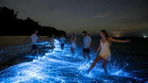 Mirissa Bioluminescent Plankton glowing electric blue in the ocean waves at Mirissa Beach, Sri Lanka at night