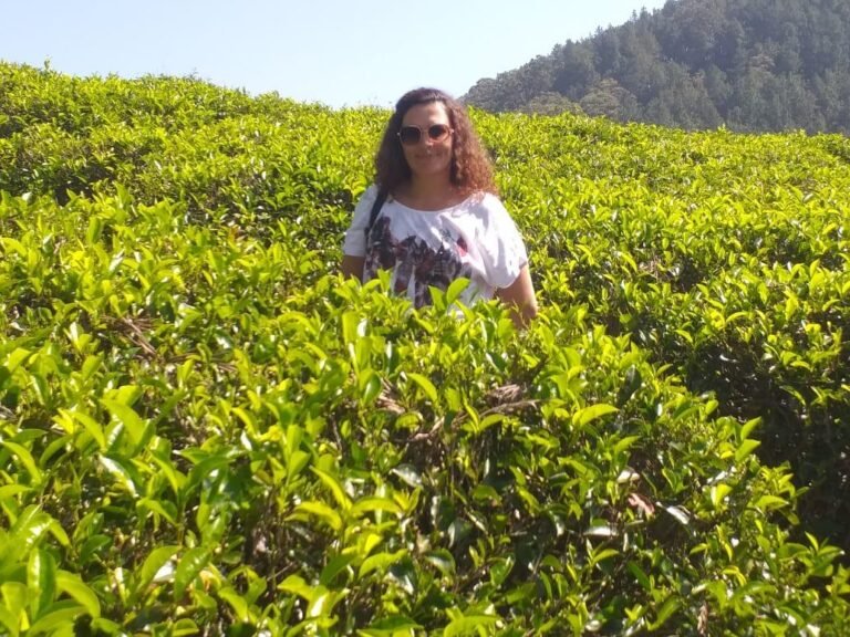 Tea state in sri lanka