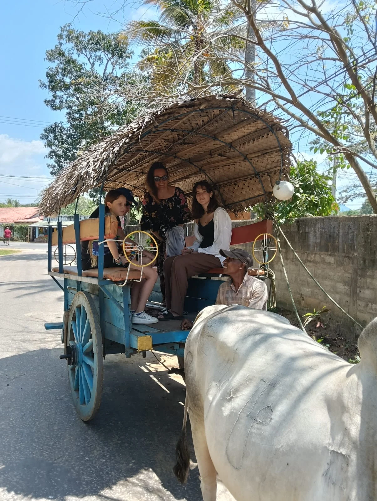 1dce4285-0f8f-4d65-874f-8ac955f7b993