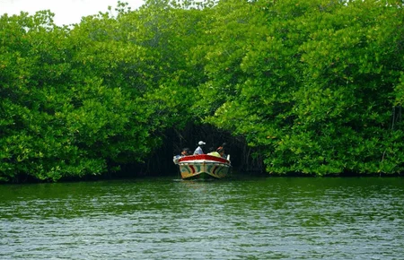 madu river cover