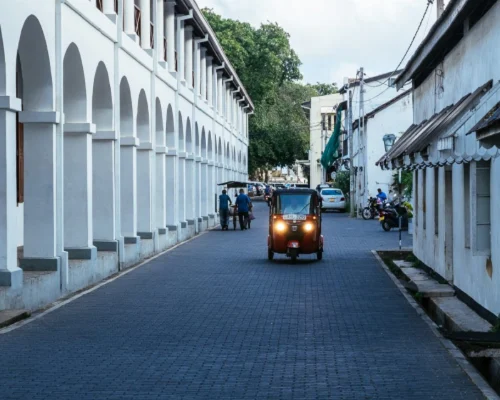 One Day Tour Galle to Ella