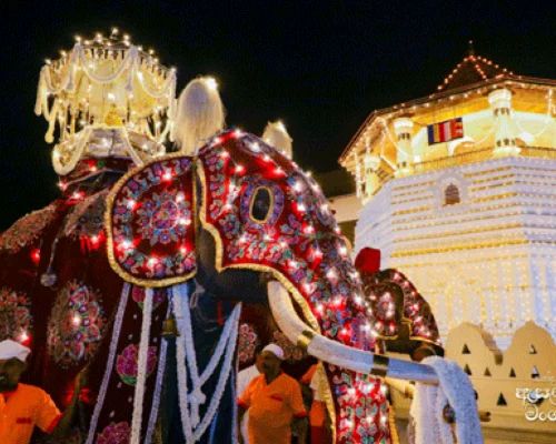 Kandy One Day Tour