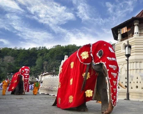 Kandy One Day Tour