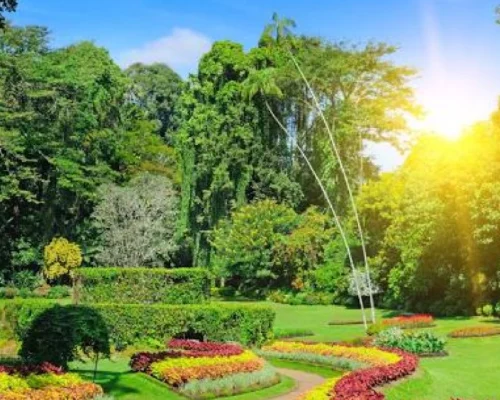 Kandy One Day Tour