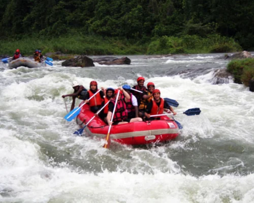 Kithulgala White Water Rafting