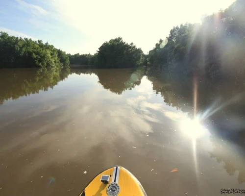 Madu River Boat Safari