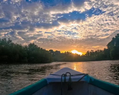 Madu River Boat Safari