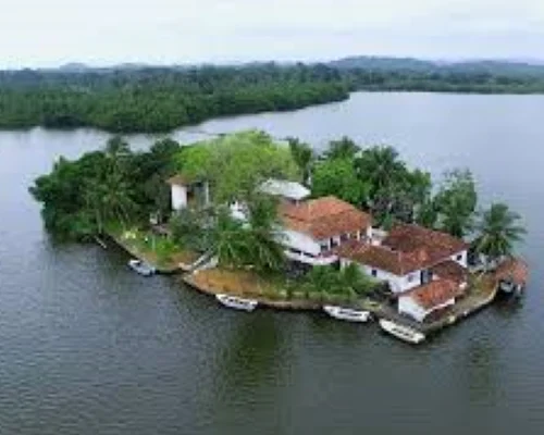 Madu River Boat Safari
