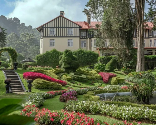 Nuwara Eliya One Day Tour