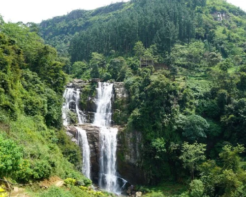 Nuwara Eliya One Day Tour
