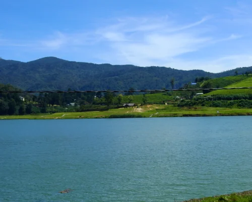 Nuwara Eliya One Day Tour