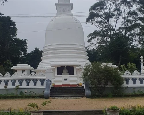 Nuwara Eliya One Day Tour
