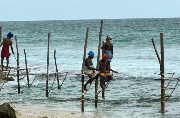 Where Can I Find Sri Lanka’s Famous Stilt Fishermen