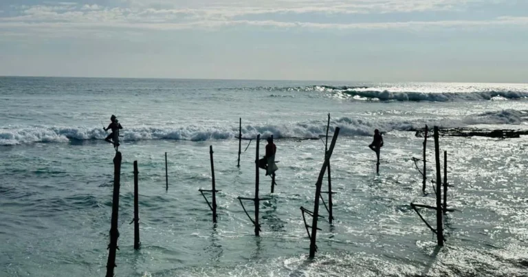 Stilt Fishermen
