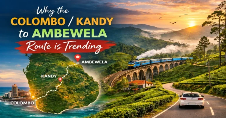 Why the Colombo/Kandy to Ambewela Route is Trending