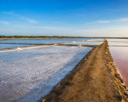 Hambantota Salt Pans Scenic Spot