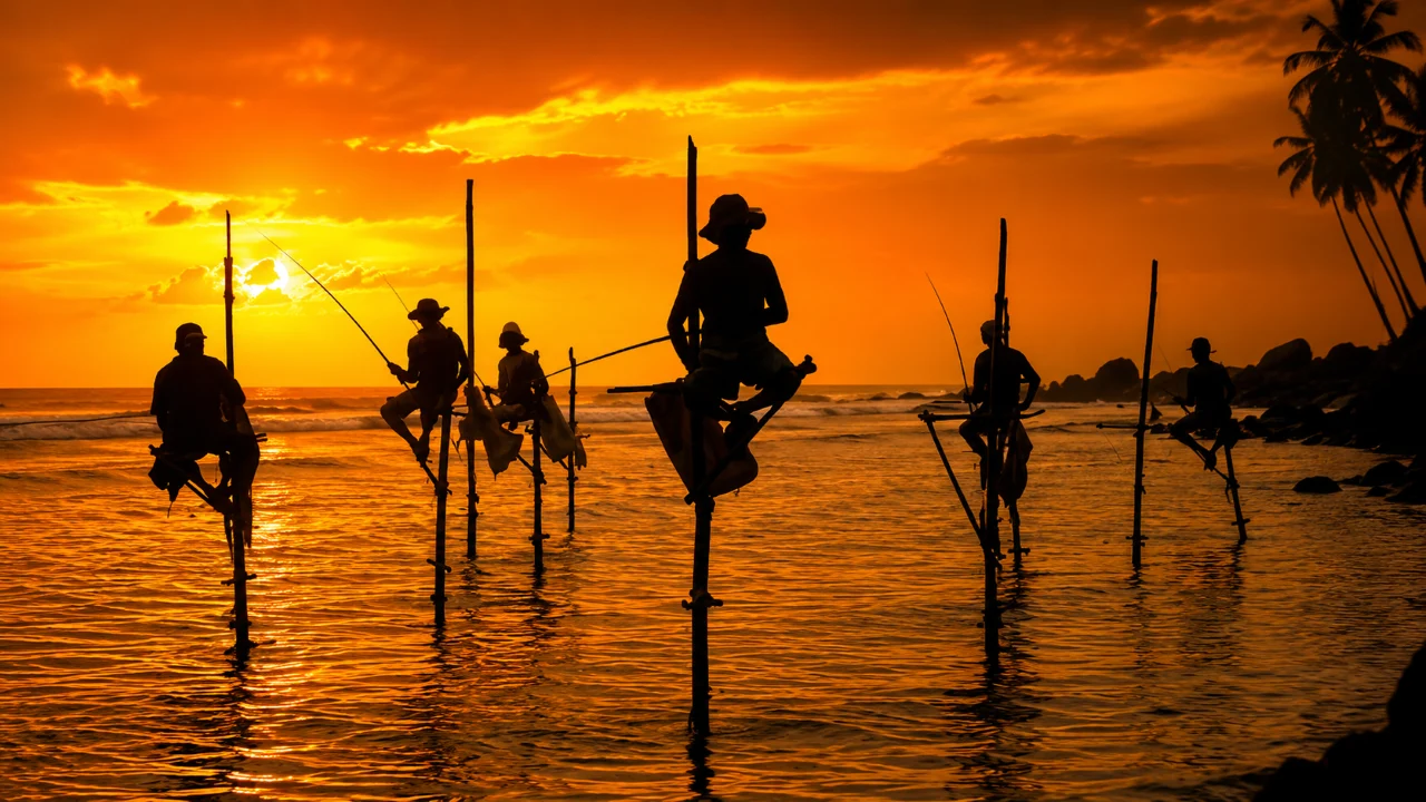 Koggala stilt fishermen tour at golden sunset near Galle, Sri Lanka